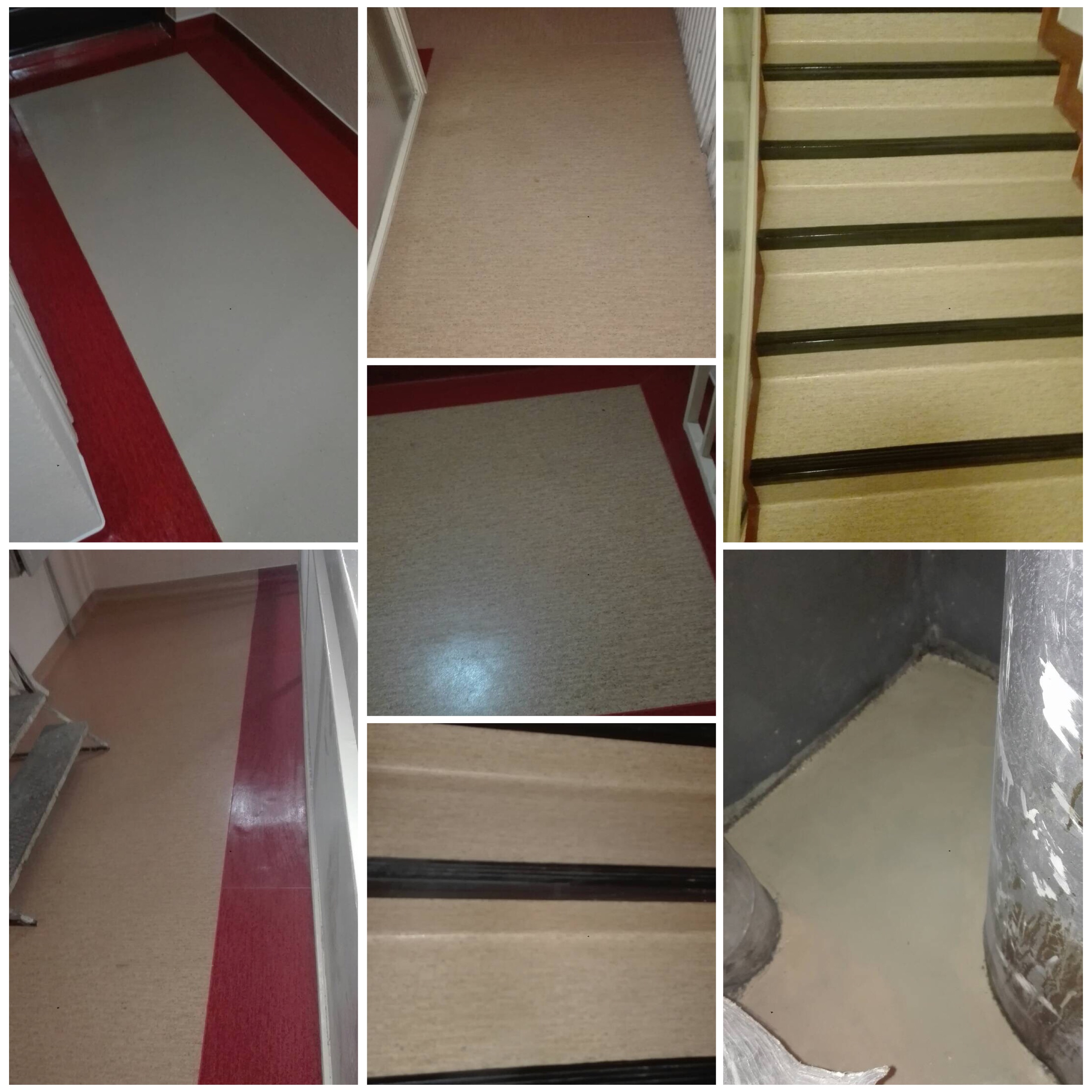 55B4E313-1598-4BF4-A0D0-6E97FB5B4F62